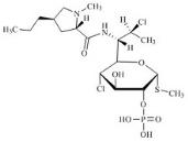 克林霉素磷酸酯杂质3标准品