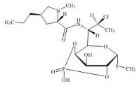 克林霉素磷酸酯杂质9标准品