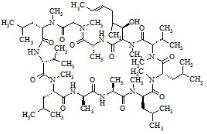 环孢菌素B标准品