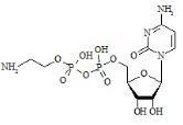 Cytidine Diphosphate Ethanolamine (CDPEA)