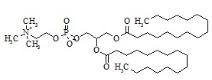 DPPC (Dipalmitoylphosphatidylcholine)