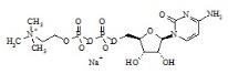 Citicoline Sodium Salt (CDP-Choline)