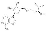 S-腺苷-L-高半胱氨酸标准品