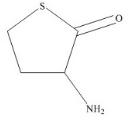 DL-Homocysteine Thiolactone标准品