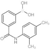 3-硼-N-(2,4-二甲基苯基)苯甲酰胺标准品