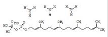 Geranylgeranyl Diphosphate