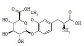 3-O-methyl dopa glucuronide