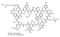 Enramycin (Mixture of Enduracidin A and Enduracidin B)