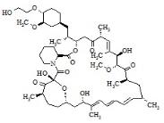 依维莫司相关化合物1标准品