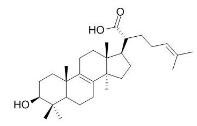 3β-羟基-羊毛甾-8,24-二烯-21-酸