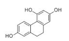 2,4,7-三羟基-9,10-二氢菲对照品