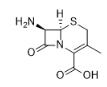 7-氨基-3-甲基-8-氧代-5-硫杂-1-氮杂双环[4.2.0]辛-2-烯-2-甲酸对照品