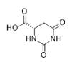 L-二氢乳清酸对照品