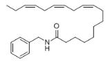 N-Benzyllinolenamide对照品