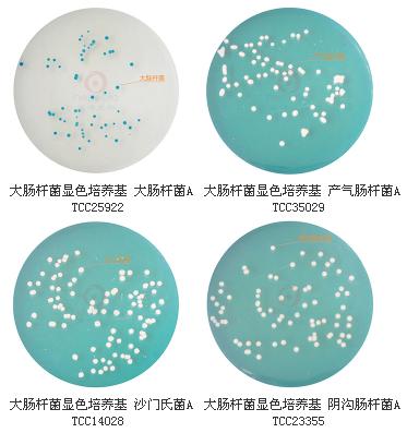 大肠杆菌显色培养基9cm