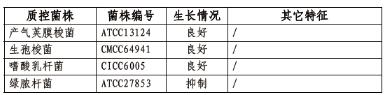 2.5L圆底立式厌氧培养袋