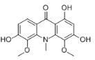 Buxifoliadine H标准品