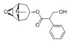东莨菪碱标准品