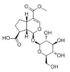 11-Methylforsythide标准品