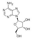腺苷标准品