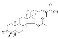灵芝草酸TQ标准品