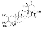 23-羟基委陵菜酸标准品