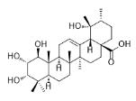 1β-羟基蔷薇酸标准品