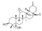 11α,12α-Epoxy-3β,23-dihydroxy-30-norolean-20(29)-en-28,13β-olide标准品