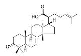 3-氧代甘遂-7,24-二烯-21-酸标准品