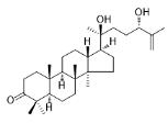 20,24-二羟基达玛-25-烯-3-酮标准品