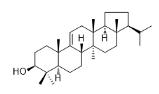 异乔木萜醇标准品