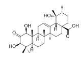 1β-羟基-2-氧代果树酸标准品