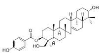 3-O-(p-Hydroxybenzoyl)serratriol标准品