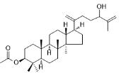 3-乙酰氧基-24-羟基达玛-20,25-二烯标准品