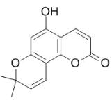 5-羟基邪蒿内酯标准品