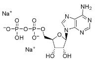 5-腺苷二磷酸二钠盐标准品