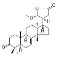 3-Oxo-21α-methoxy-24,25,26,27-tetranortirucall-7-ene-23(21)-lactone标准品