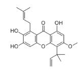 柘树咕吨酮D标准品