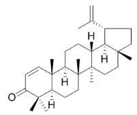 算盘子酮标准品