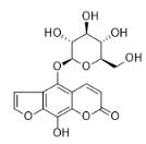 8-羟基香菜碱5-O-葡萄糖苷标准品