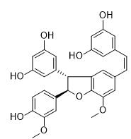 顺式-甘蔗B标准品