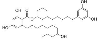 Integracin B标准品