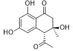 4-（反式）-乙酰基-3,6,8-三羟基-3-甲基二氢萘酮标准品