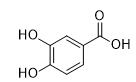3,4-二羟基苯甲酸标准品