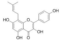 8-异戊烯基山柰酚标准品