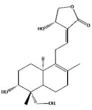 17-氢-9-去氢穿心莲内酯对照品