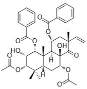 邻苯二酚B标准品