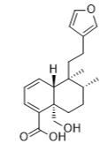 脱氢胡桃酸标准品