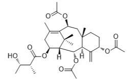 云南红豆杉甲素标准品