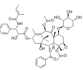 7-木糖基紫杉醇B标准品